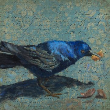 common grackle bird eating a snack