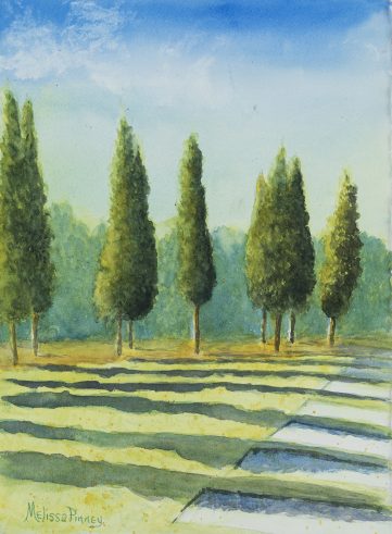 Afternoon shadows across a lawn and sidewalk