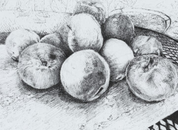 sweet summer peach harvest